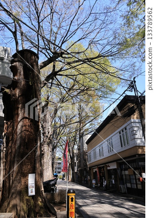 Scenery of Zoshigaya Kishimojin, Toshima-ku, Tokyo 133789562