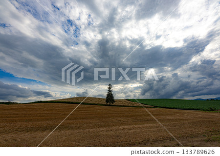 Scenery with a hill 133789626