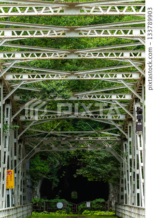 Abandoned tunnel 133789903