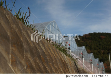 Country landscape Country landscape 133790143