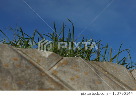 天空、草地和混凝土 133790144