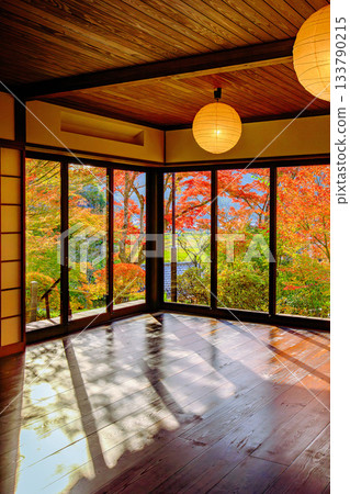 秋色正濃時分的文智津觀音寺（福島縣福島市，11月初的下午） 133790215