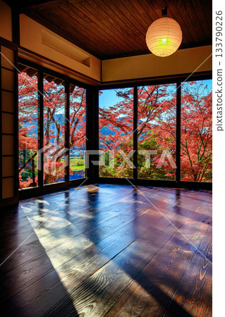 The bright red autumn leaves of Bunchizuri Kannon Temple shine in the backlight (Fukushima City, Fukushima Prefecture, mid-November afternoon) 133790226