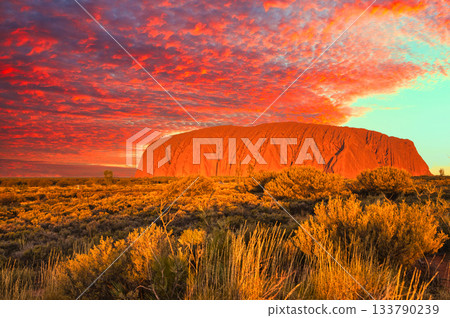 Spectacular views of Uluru, a World Heritage Site in Australia 133790239