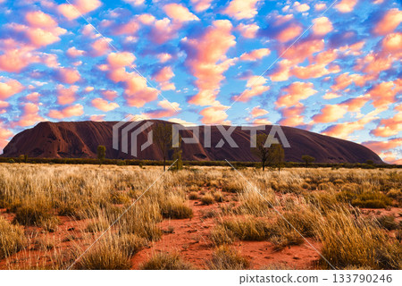 Spectacular views of Uluru, a World Heritage Site in Australia 133790246