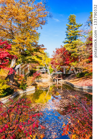 首爾,昌德宮秘苑的秋景 首爾,昌德宮秘苑的秋景 133790332