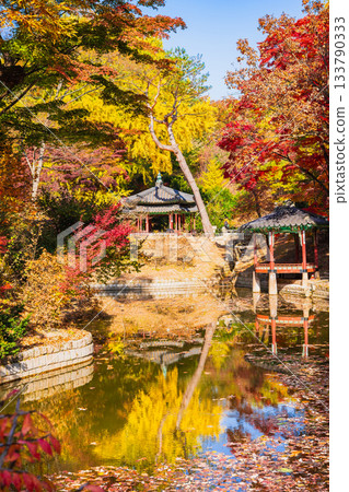首爾,昌德宮秘苑的秋景 首爾,昌德宮秘苑的秋景 133790333