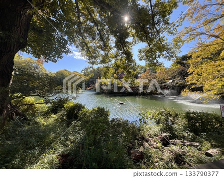 再過不久，葉子就會變紅了。 133790377