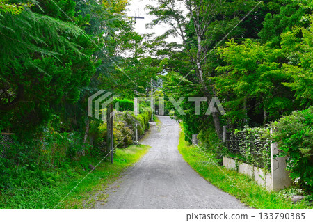 箱根仙石原景色 箱根仙石原景色 133790385