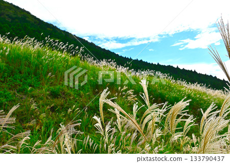 箱根仙石原景色 箱根仙石原景色 133790437