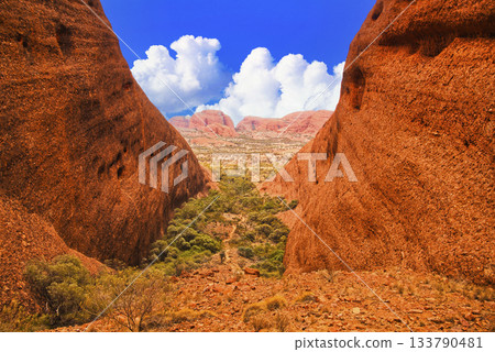 The magnificent V-shaped valley of Mount Olga: a spectacular view of the Valley of the Wind 133790481