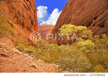 奧爾加山壯麗的V字形山谷：風之谷的壯麗景色 133790482