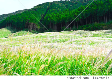 箱根仙石原景色 133790513