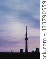 Sky tree dyed to the sunset 133790559
