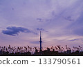 Skytree and Usui at dusk 133790561