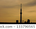 Skytree and people's silhouettes at sunset 133790565