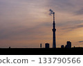 Skytree and people's silhouettes at sunset 133790566