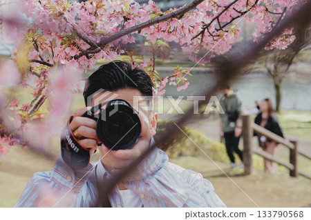 A young man taking a photo of Kawazu cherry blossoms 133790568