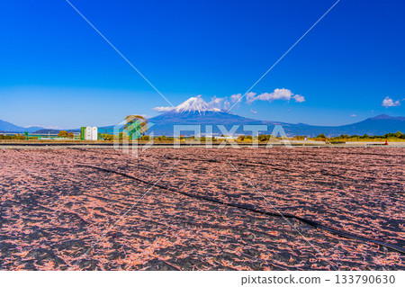 【靜岡縣】富士川和富士山畔的櫻花蝦乾 133790630