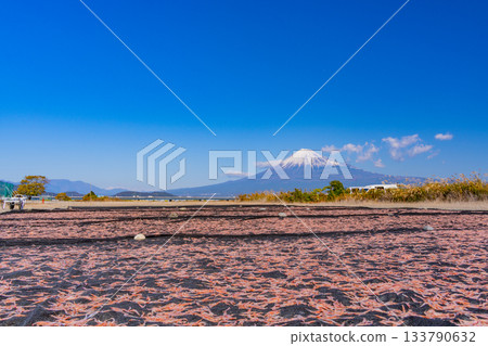 [Shizuoka Prefecture] Sun-dried Sakura shrimp on the banks of the Fuji River and Mount Fuji 133790632