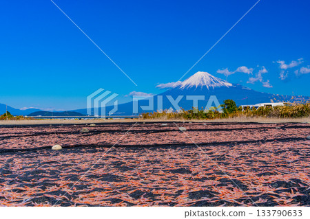 [Shizuoka Prefecture] Sun-dried Sakura shrimp on the banks of the Fuji River and Mount Fuji 133790633