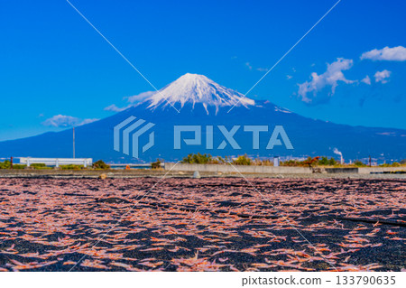 [Shizuoka Prefecture] Sun-dried Sakura shrimp on the banks of the Fuji River and Mount Fuji 133790635