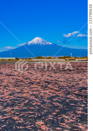 【靜岡縣】富士川和富士山畔的櫻花蝦乾 133790638