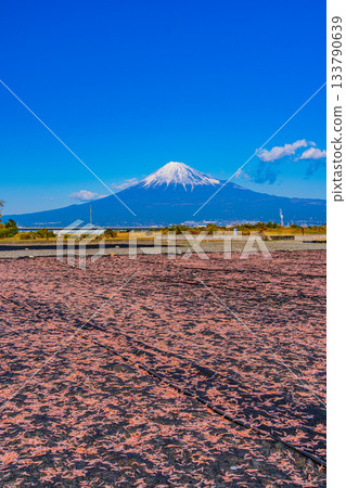 [Shizuoka Prefecture] Sun-dried Sakura shrimp on the banks of the Fuji River and Mount Fuji 133790639