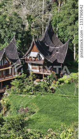 A traditional Minangkabau-style building with curved roofs nestles in lush tropical greenery, blending cultural heritage, natural beauty 133790642