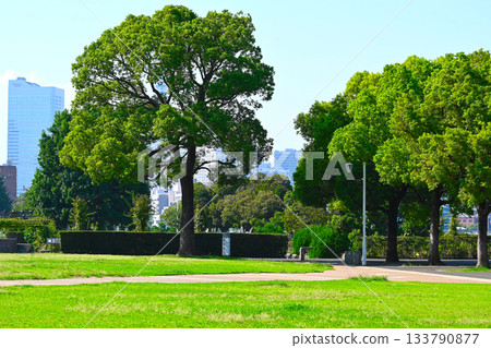 橫濱山下公園景色 橫濱山下公園景色 133790877