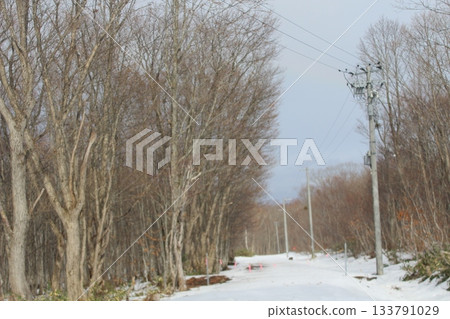 Winter forest landscape with a road passing through bare trees on a cold overcast day 133791029
