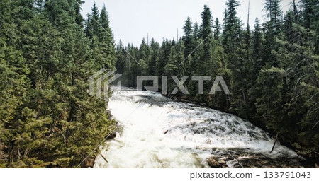 Flat design is depicting white-water rapids cutting through evergreen forest with exposed rocks Flat design is depicting white-water rapids cutting through evergreen forest with exposed rocks 133791043