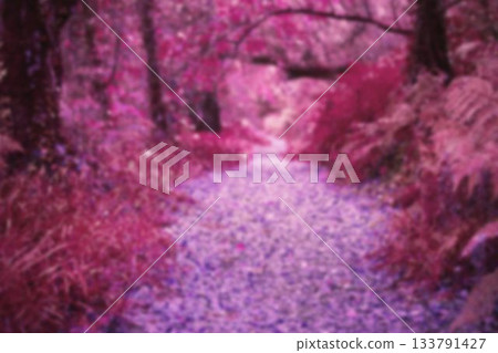 Tree by flowers during springtime Tree by flowers during springtime 133791427