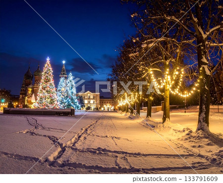 A decorated Christmas tree in a snowy town 133791609