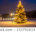 A decorated Christmas tree in a snowy town 133791614