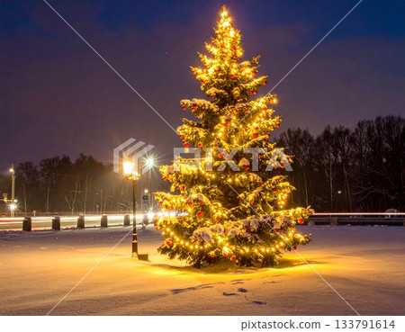 A decorated Christmas tree in a snowy town 133791614