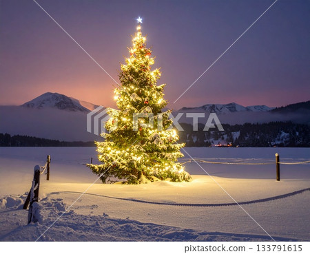 A decorated Christmas tree in a snowy town 133791615