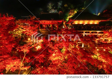 Kiyomizudera的秋葉亮了起來 Kiyomizudera的秋葉亮了起來 133791757