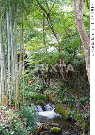 Lush green scenery on the way to Jakkoin Temple in Ohara, Kyoto Lush green scenery on the way to Jakkoin Temple in Ohara, Kyoto 133791910