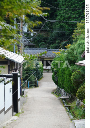 Lush green scenery on the way to Jakkoin Temple in Ohara, Kyoto Lush green scenery on the way to Jakkoin Temple in Ohara, Kyoto 133791915