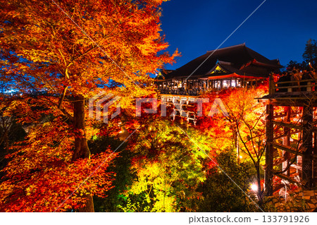 清水寺燈光璀璨的舞台與秋葉美景 清水寺燈光璀璨的舞台與秋葉美景 133791926