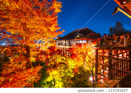 清水寺燈光璀璨的舞台與秋葉美景 清水寺燈光璀璨的舞台與秋葉美景 133791927