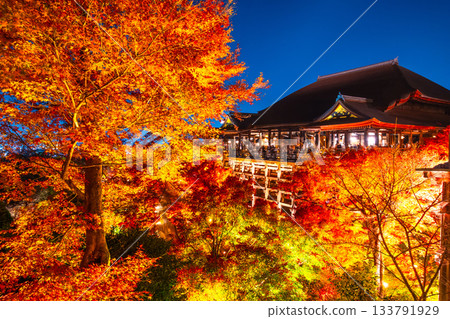 清水寺燈光璀璨的舞台與秋葉美景 133791929