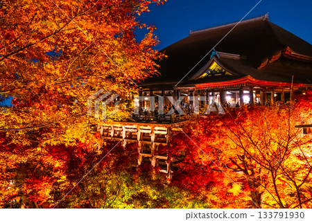 清水寺燈光璀璨的舞台與秋葉美景 清水寺燈光璀璨的舞台與秋葉美景 133791930