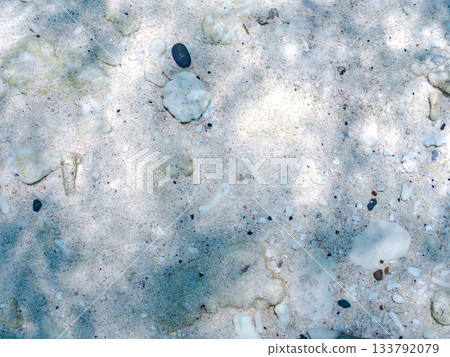 棘鰈魚偽裝在沙中。美麗的珊瑚礁和成群的熱帶魚。沖繩縣慶良間群島座間味町卡比島,島尻郡 棘鰈魚偽裝在沙中。美麗的珊瑚礁和成群的熱帶魚。沖繩縣慶良間群島座間味町卡比島,島尻郡 133792079