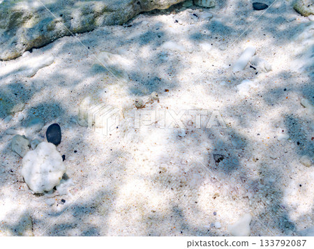 棘鰈魚偽裝在沙中。美麗的珊瑚礁和成群的熱帶魚。沖繩縣慶良間群島座間味町卡比島,島尻郡 棘鰈魚偽裝在沙中。美麗的珊瑚礁和成群的熱帶魚。沖繩縣慶良間群島座間味町卡比島,島尻郡 133792087