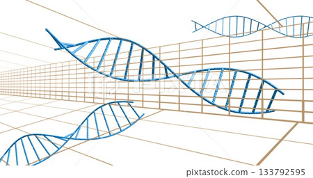 Image of blue DNA strands floating over grid lines in scientific concept 133792595