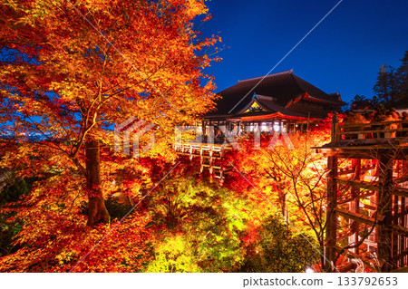 Illuminated stage and autumn leaves at Kiyomizu-dera Temple Illuminated stage and autumn leaves at Kiyomizu-dera Temple 133792653