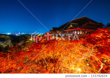 清水寺燈光璀璨的舞台與秋葉美景 清水寺燈光璀璨的舞台與秋葉美景 133792654