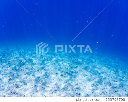 Beautiful sandy area offshore. Gradient blue. Beautiful coral reefs and schools of tropical fish. Kabi Island, Kerama Islands, Shimajiri District, Okinawa Prefecture 133792700